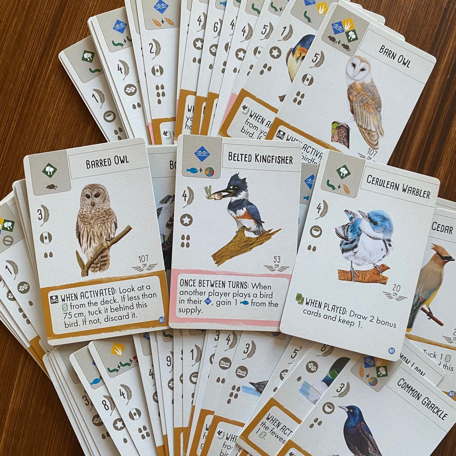 Wingspan - Thumbnail 2 (Game Components)